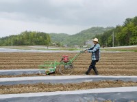 重点通报！烟草代购平台“目空一切”