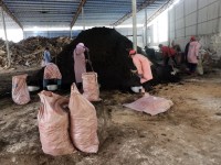 广西南丹：有机肥助农增收 绿色生产提质效